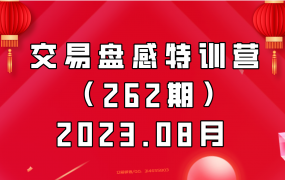 交易盘感特训营(262期)2023.08月