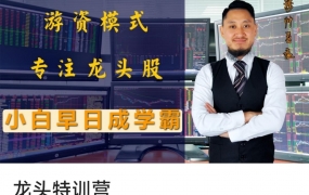 穆帅看盘:龙头特训营