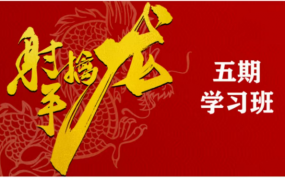 射手擒龙:实战班(五期)
